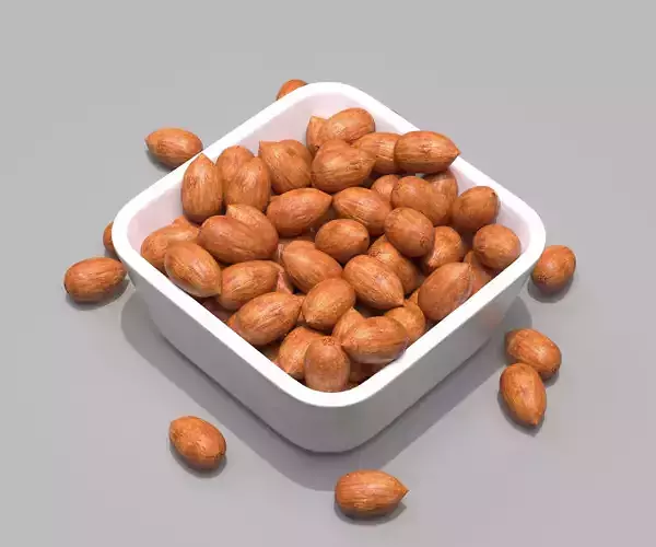 Pecan  3D model