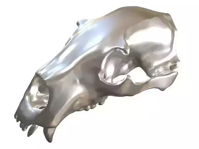 Cranium Charm Bear silver