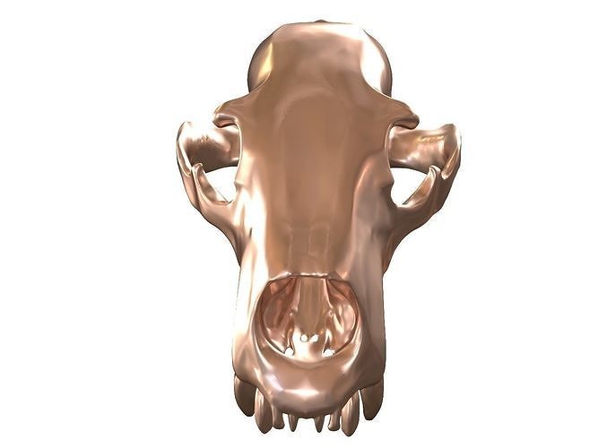 Cranium Charm Bear Bronze 3D print model
