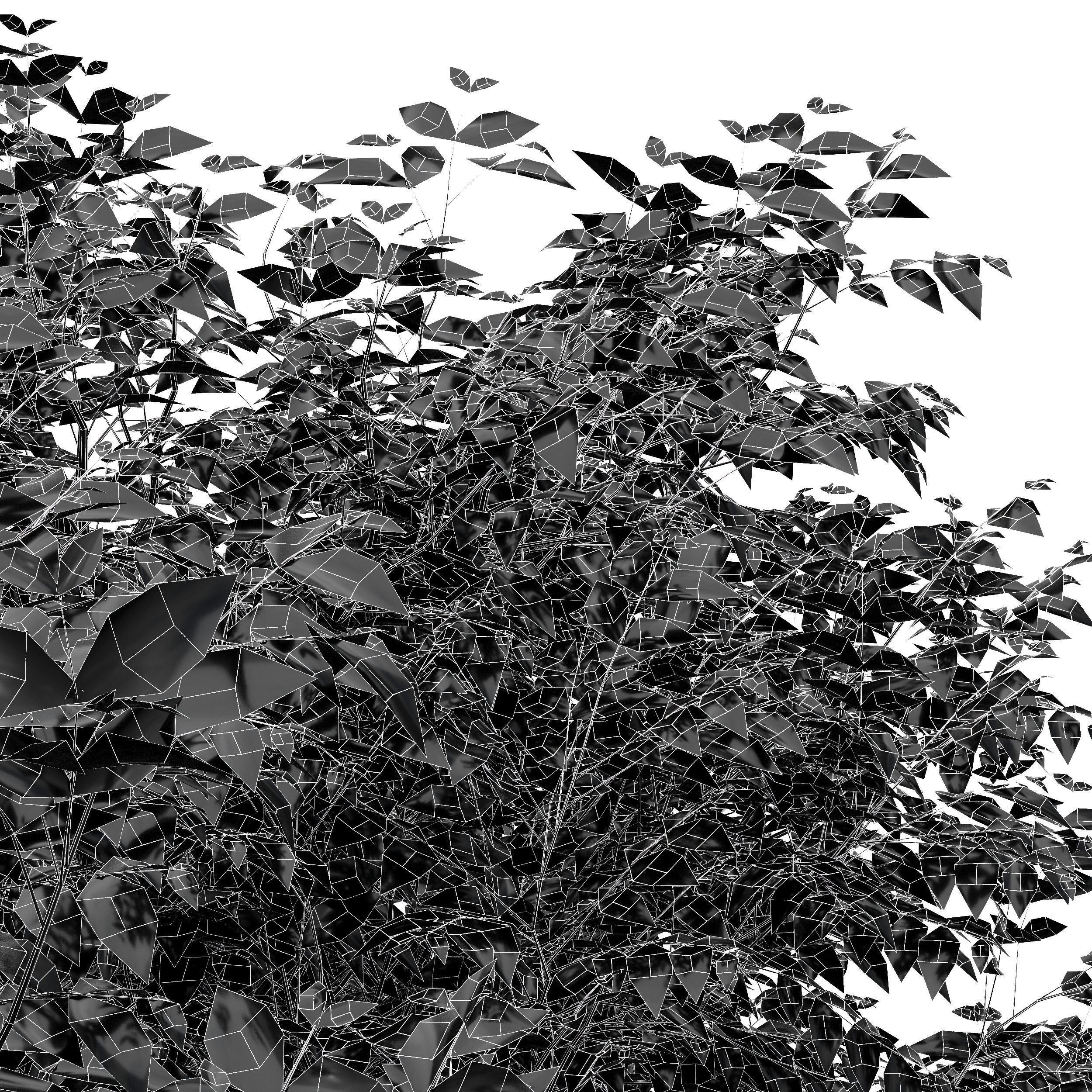 Sweet chestnut tree 3D model_4