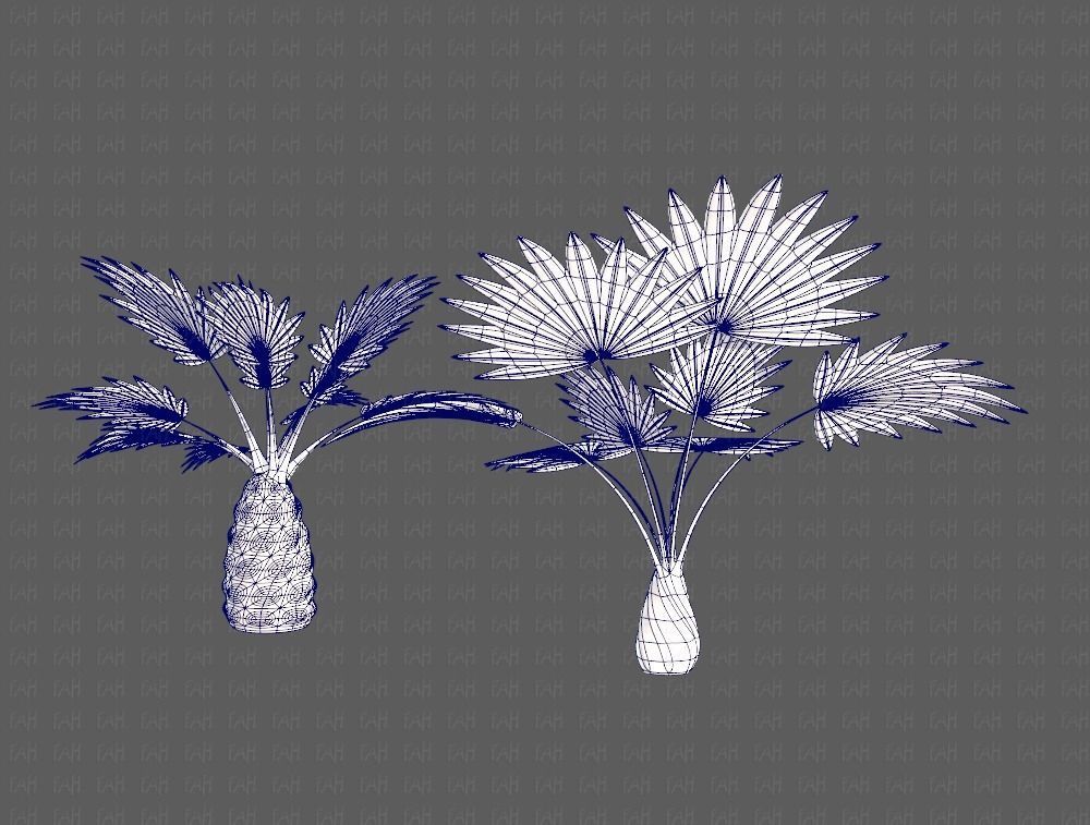 Trees Cartoon V10 3D model_13