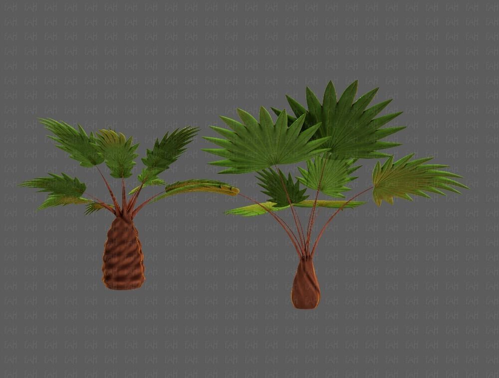 Trees Cartoon V10 3D model_5