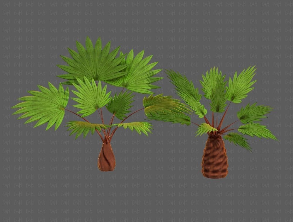 Trees Cartoon V10 3D model_17