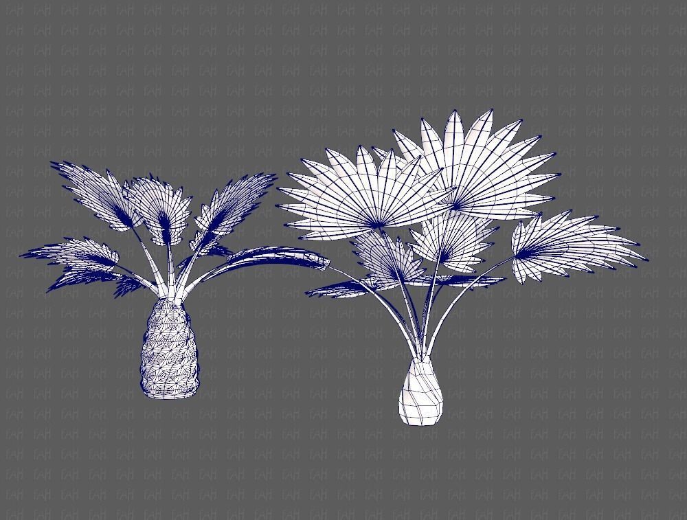 Trees Cartoon V10 3D model_29