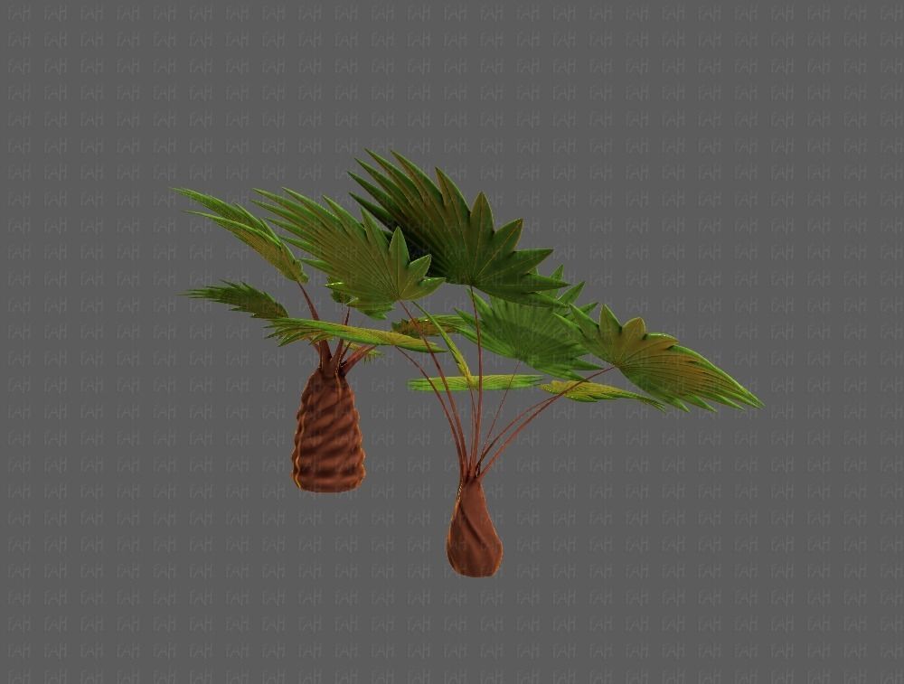 Trees Cartoon V10 3D model_4