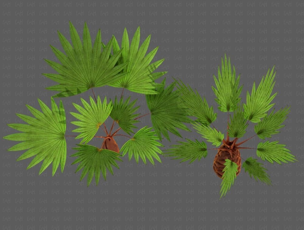 Trees Cartoon V10 3D model_35