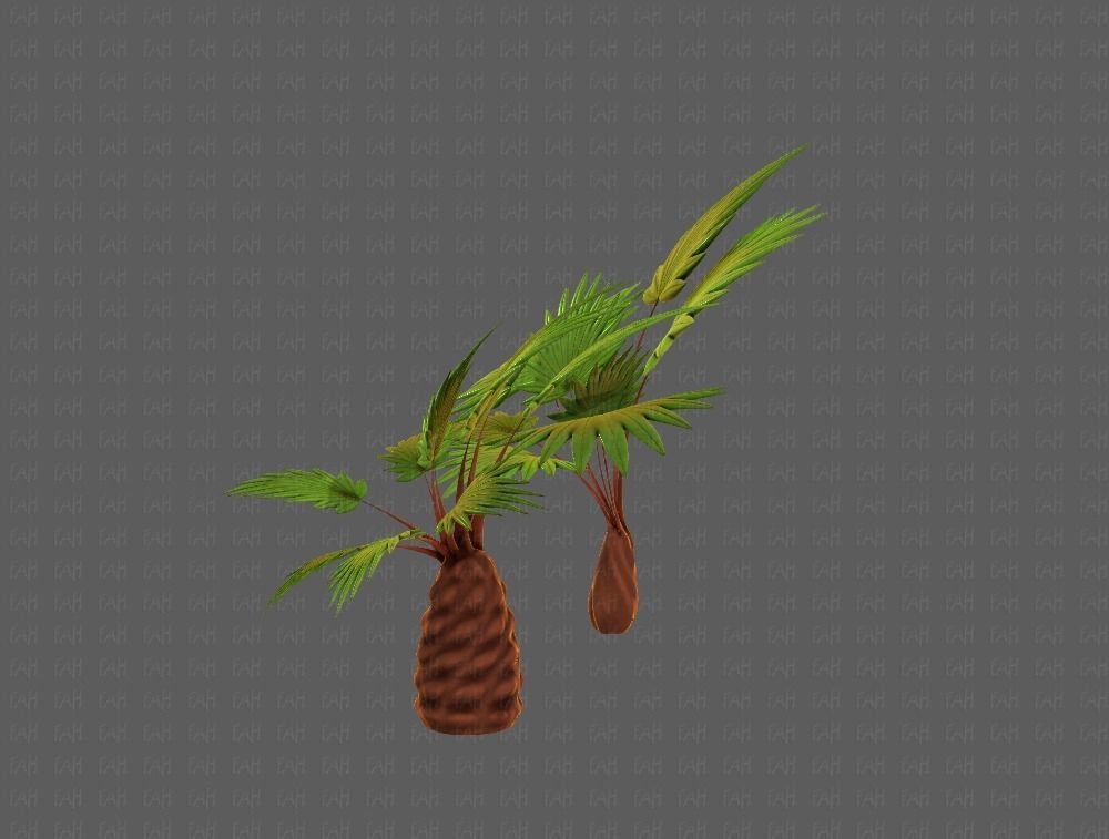 Trees Cartoon V10 3D model_7