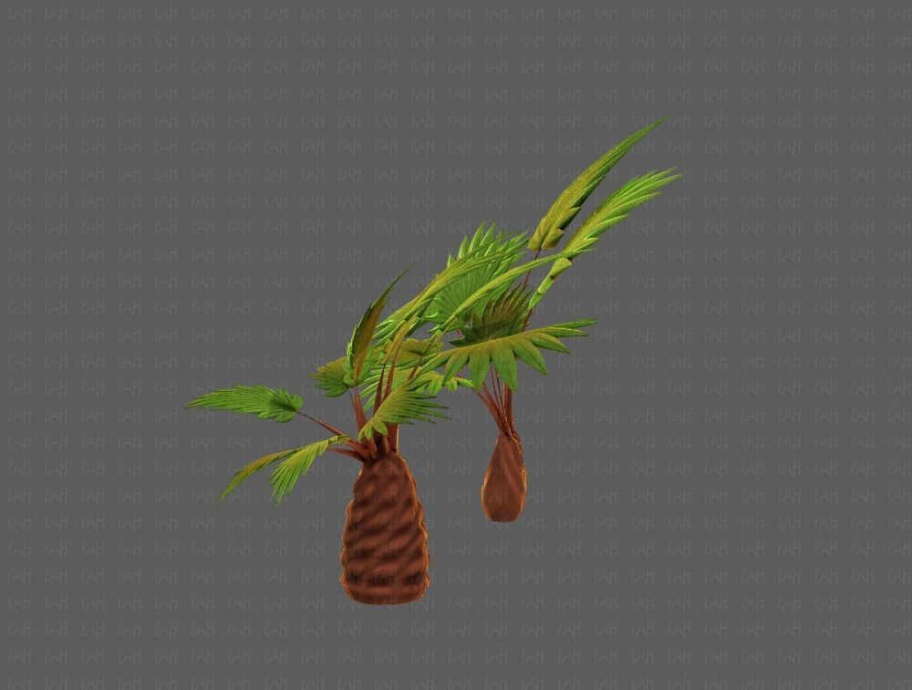 Trees Cartoon V10 3D model_23