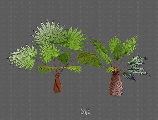 Trees Cartoon V10 3D model
