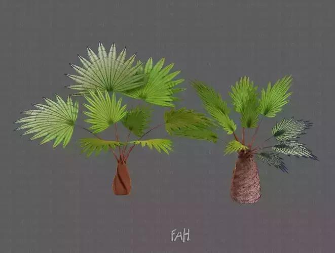 Trees Cartoon V10 3D model