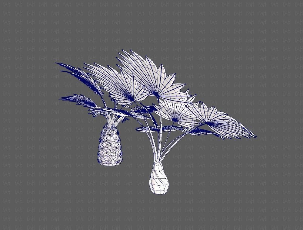 Trees Cartoon V10 3D model_28