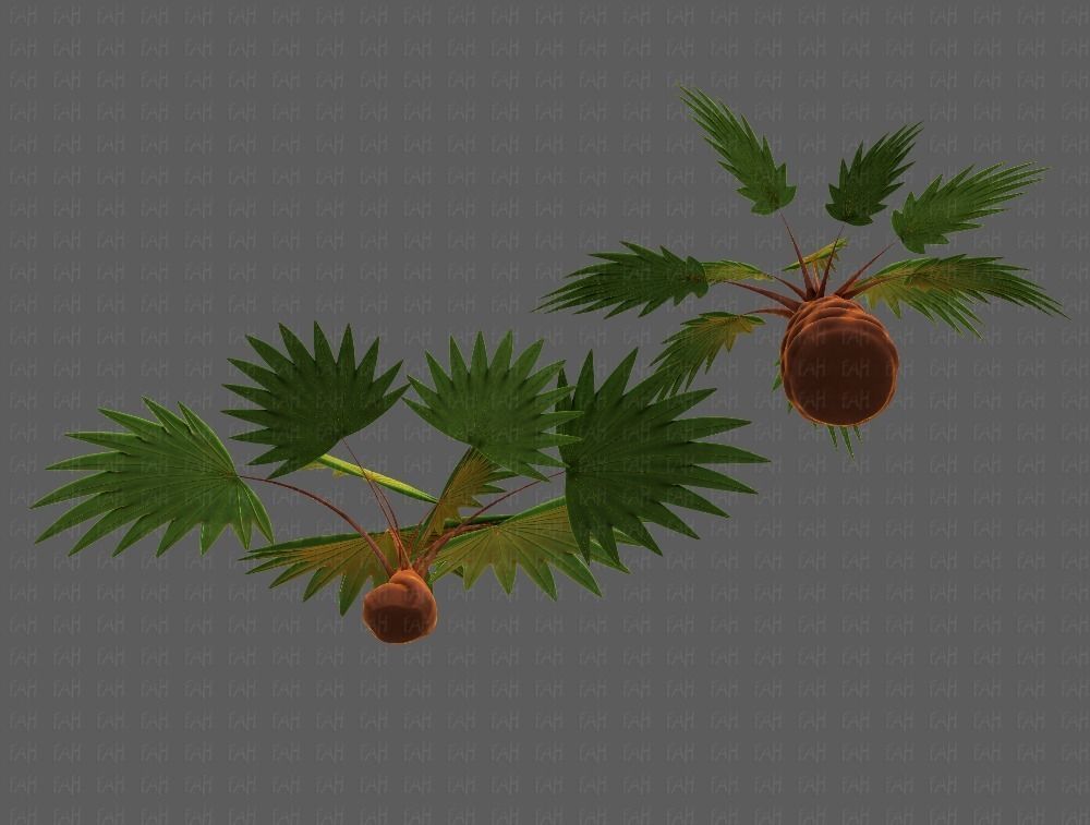 Trees Cartoon V10 3D model_37