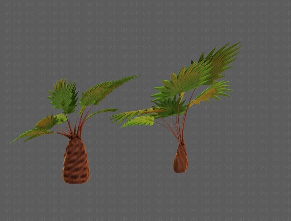 Trees Cartoon V10 3D model_6