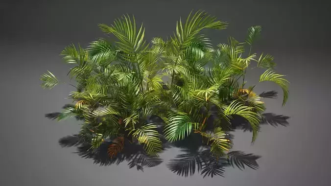Palm tree 3D model