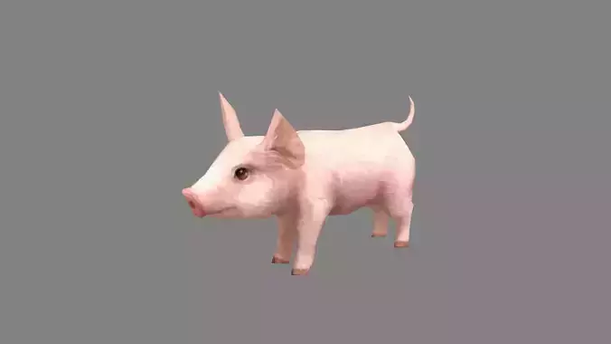 Cartoon piggy - farm pig