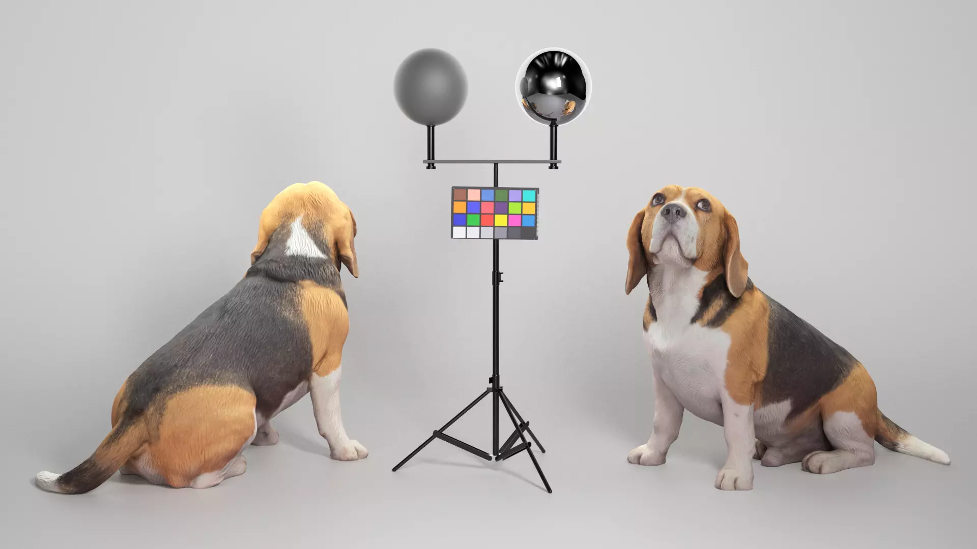 Beagle dog 18 Low-poly 3D model_0