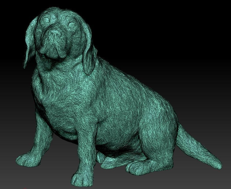 Beagle dog 18 Low-poly 3D model_6