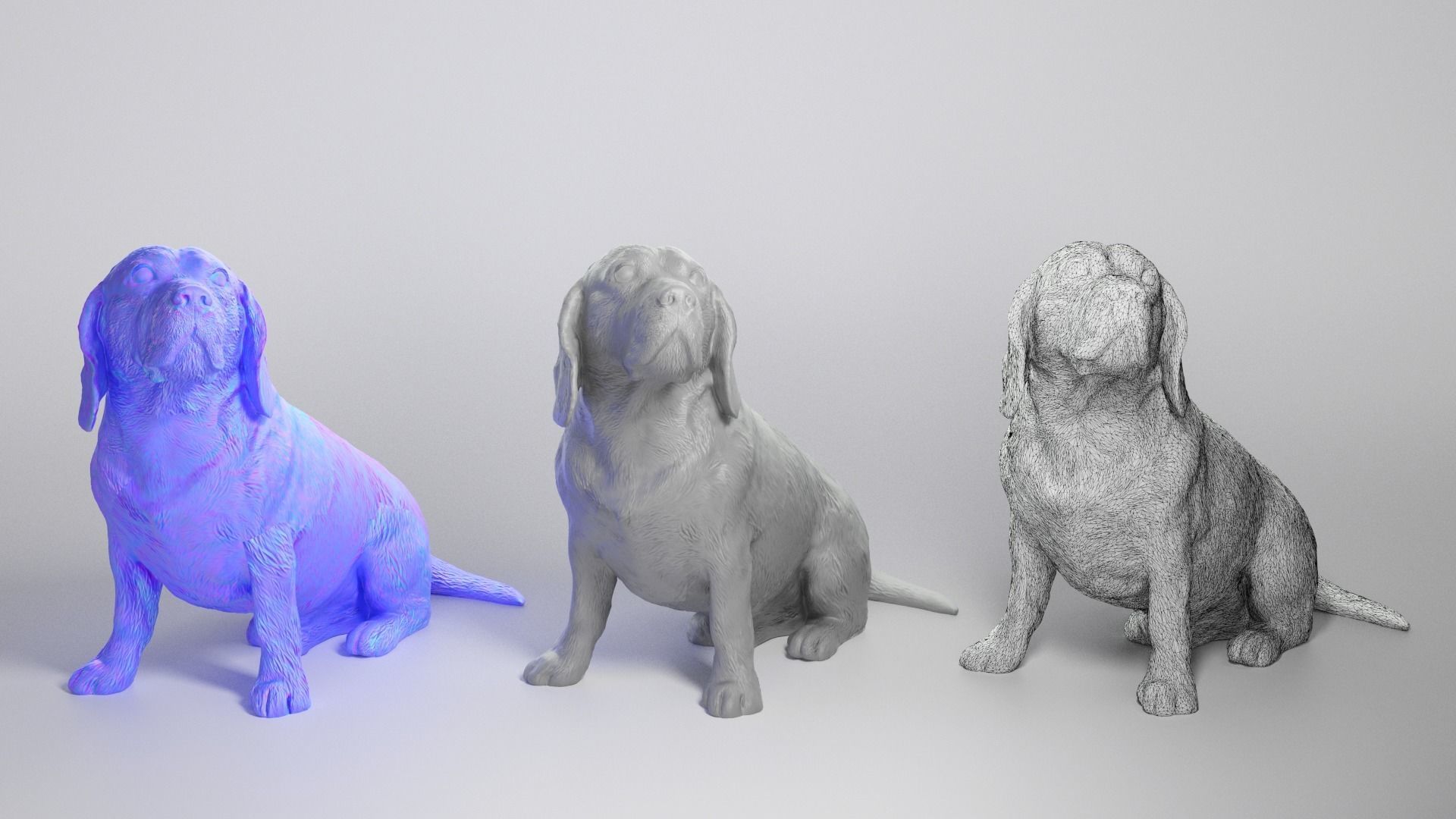 Beagle dog 18 Low-poly 3D model_3