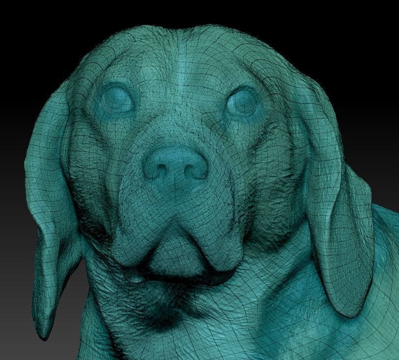 Beagle dog 18 Low-poly 3D model_5
