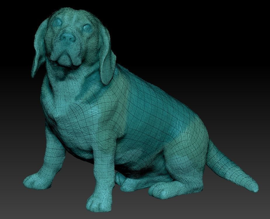 Beagle dog 18 Low-poly 3D model_4