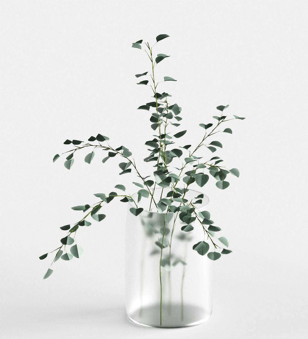 Eucalyptus in a vase - 4 models 3D model_5