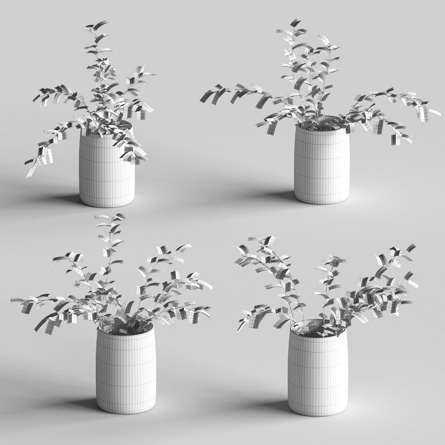 Eucalyptus in a vase - 4 models 3D model_1