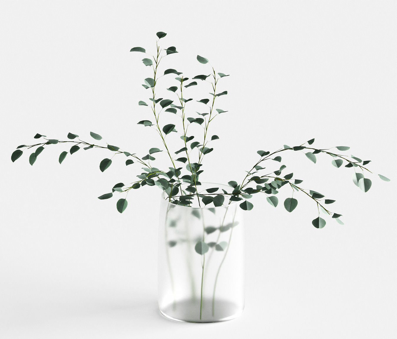 Eucalyptus in a vase - 4 models 3D model_6
