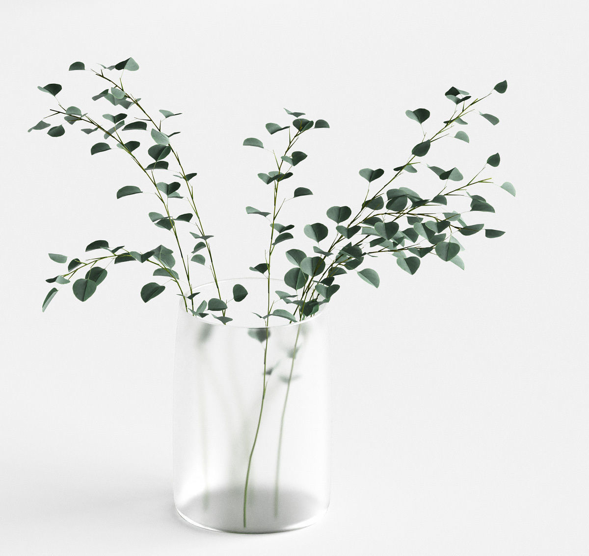 Eucalyptus in a vase - 4 models 3D model_8
