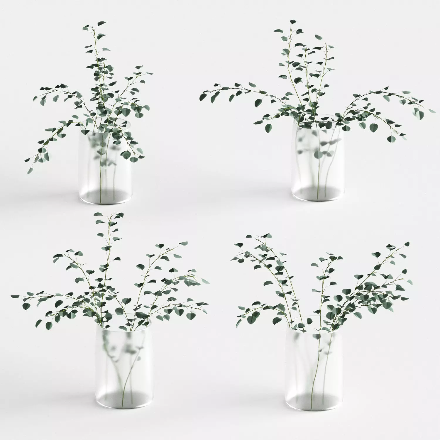 Eucalyptus in a vase - 4 models 3D model_0