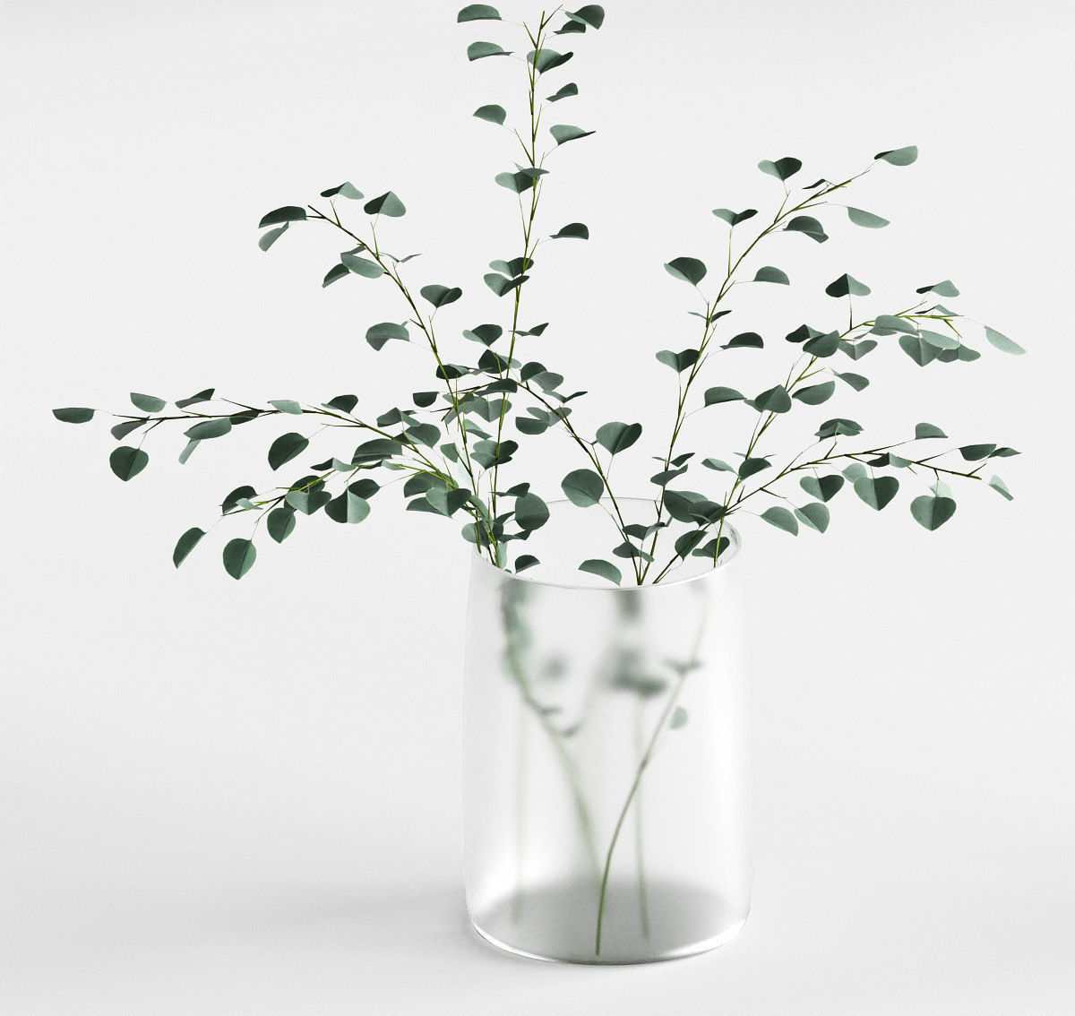 Eucalyptus in a vase - 4 models 3D model_7
