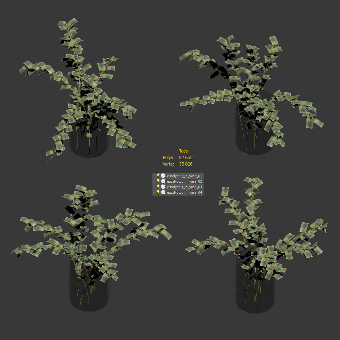 Eucalyptus in a vase - 4 models 3D model_2