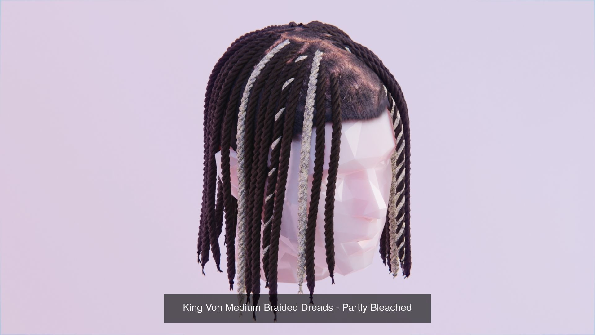 Long Hair Bundle 3D Model Collection_3