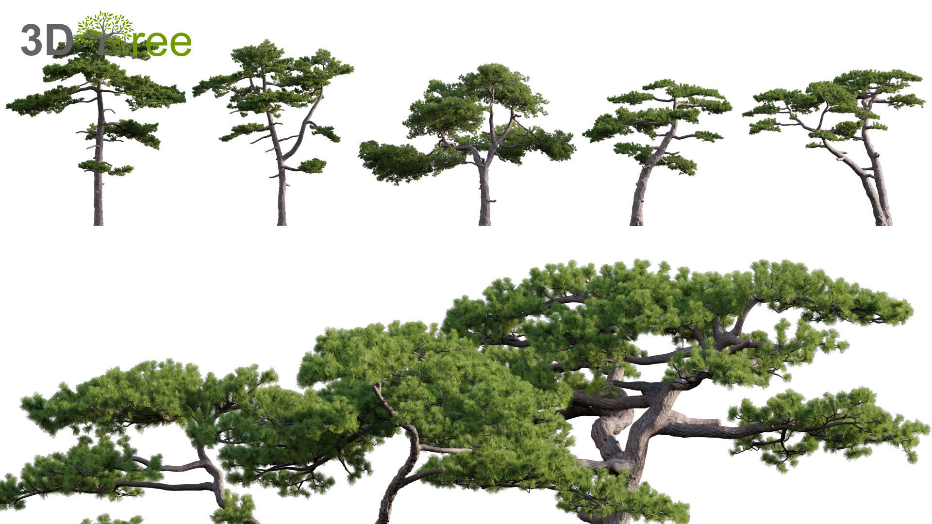 Japanese garden - Bundle 06 3D model_13