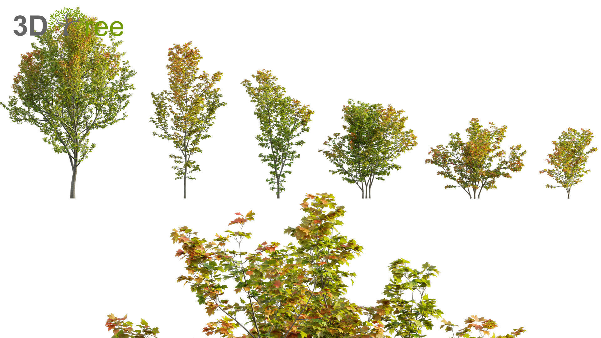 Japanese garden - Bundle 06 3D model_3