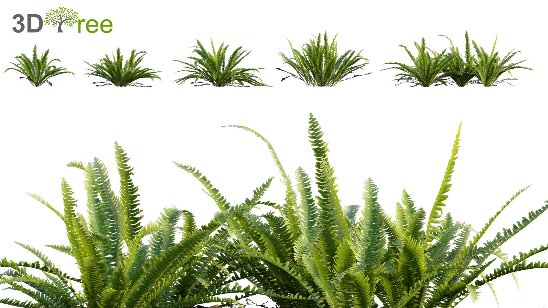 Japanese garden - Bundle 06 3D model_7