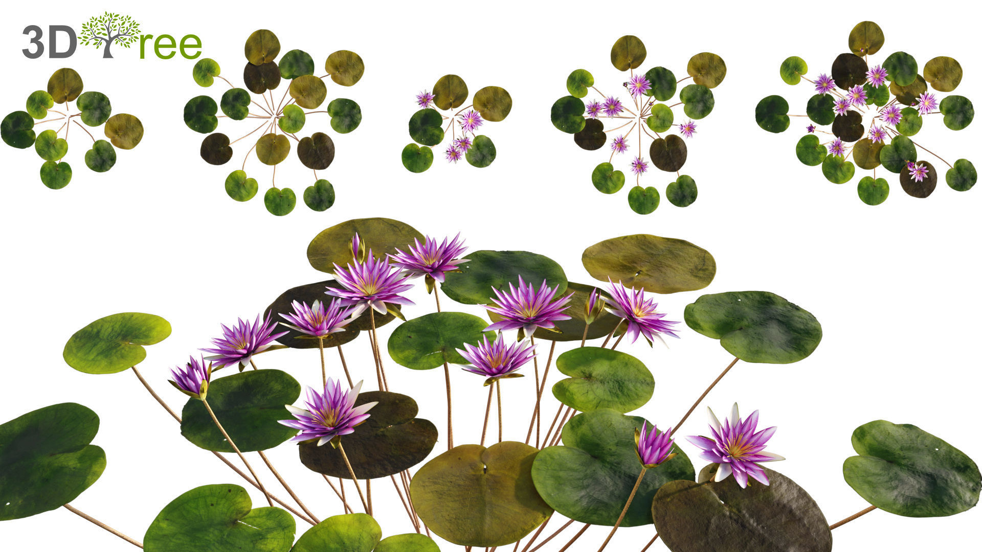 Japanese garden - Bundle 06 3D model_8