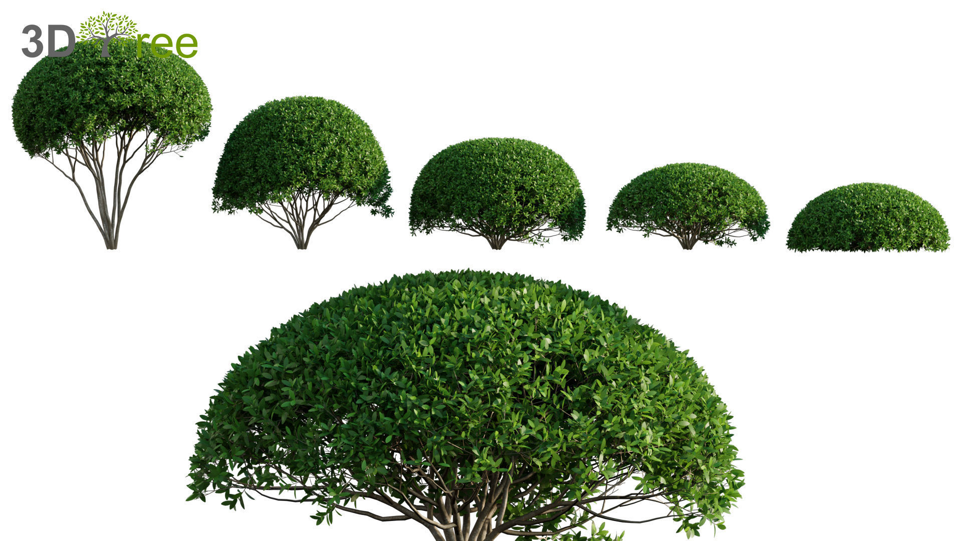 Japanese garden - Bundle 06 3D model_18