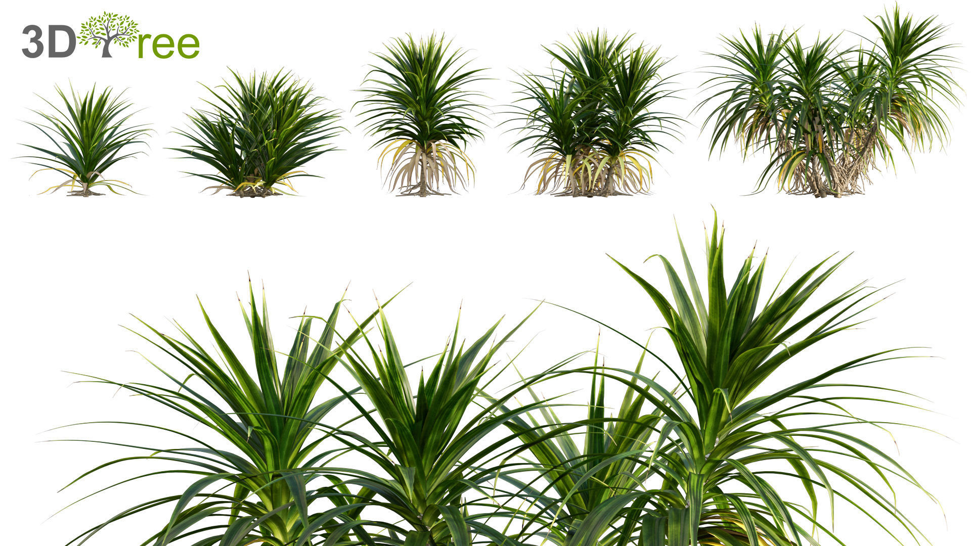 Japanese garden - Bundle 06 3D model_9