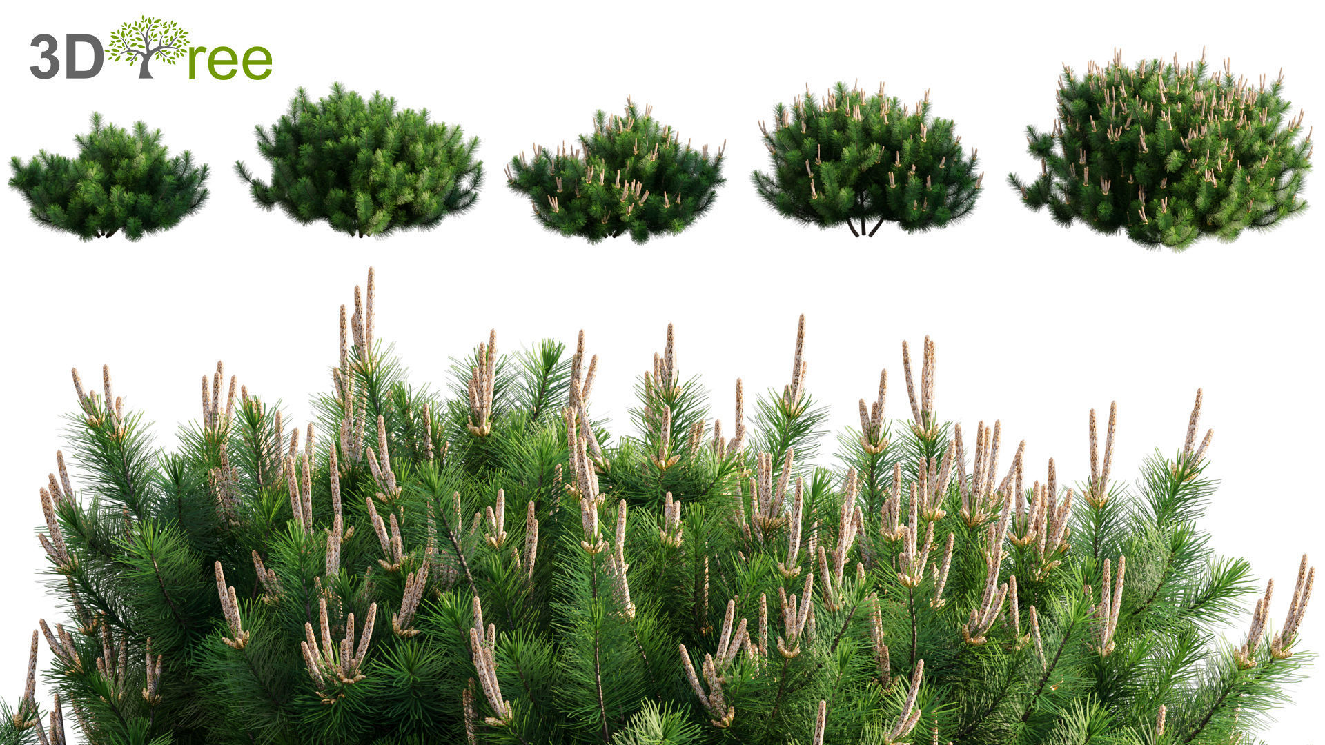 Japanese garden - Bundle 06 3D model_14