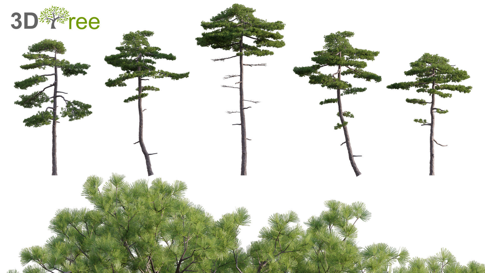 Japanese garden - Bundle 06 3D model_12