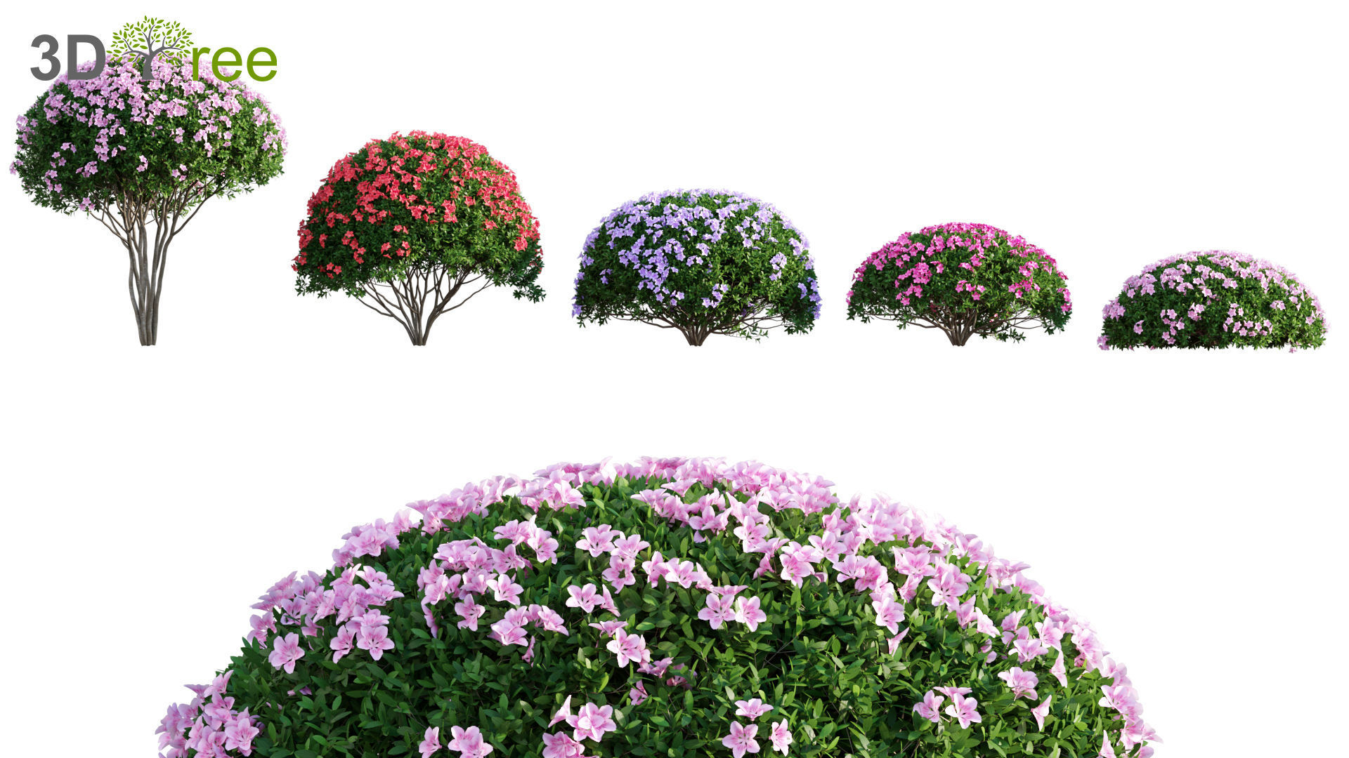 Japanese garden - Bundle 06 3D model_17