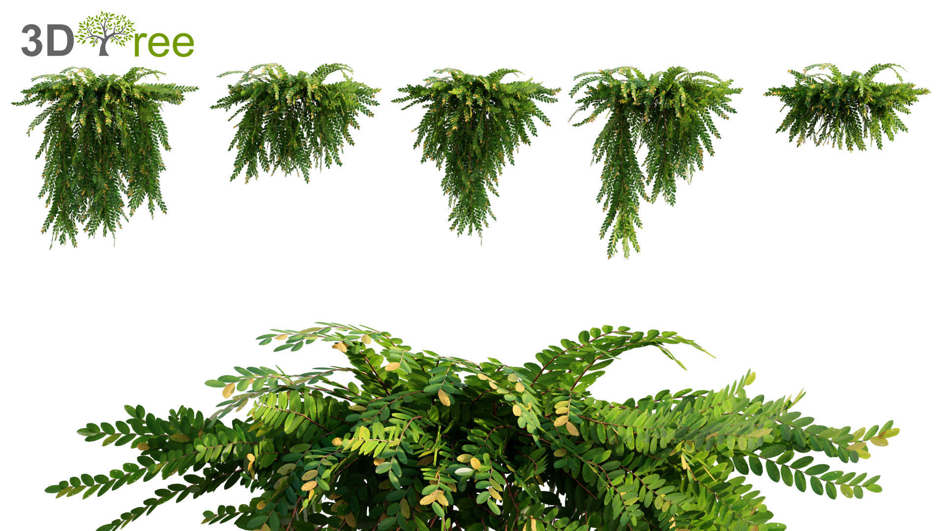 Japanese garden - Bundle 06 3D model_11