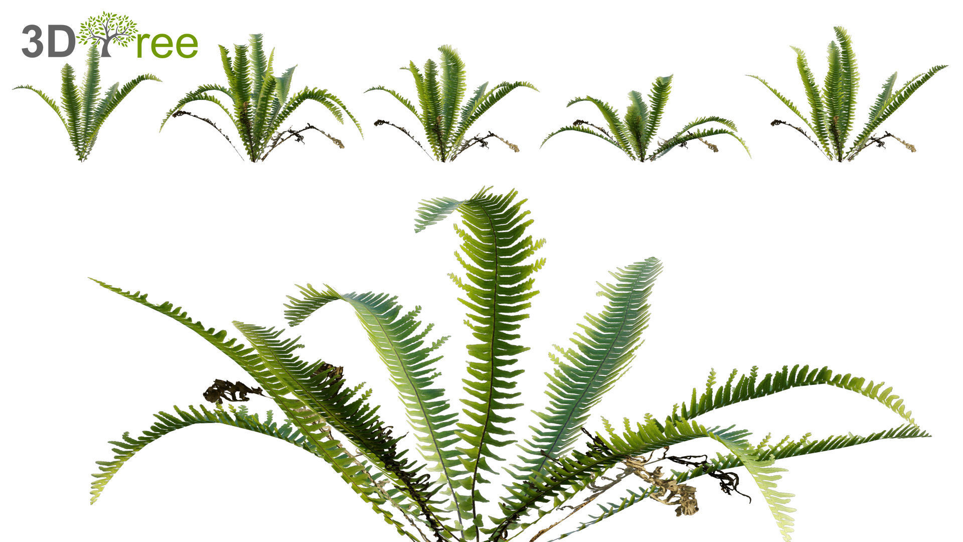 Japanese garden - Bundle 06 3D model_6