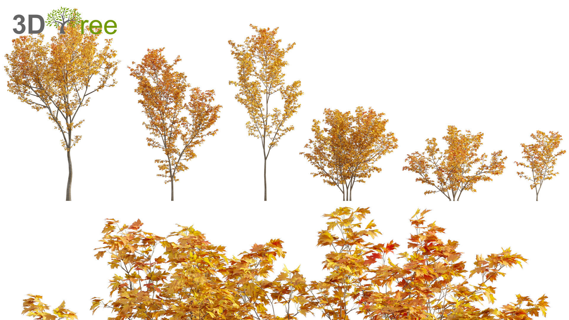 Japanese garden - Bundle 06 3D model_4