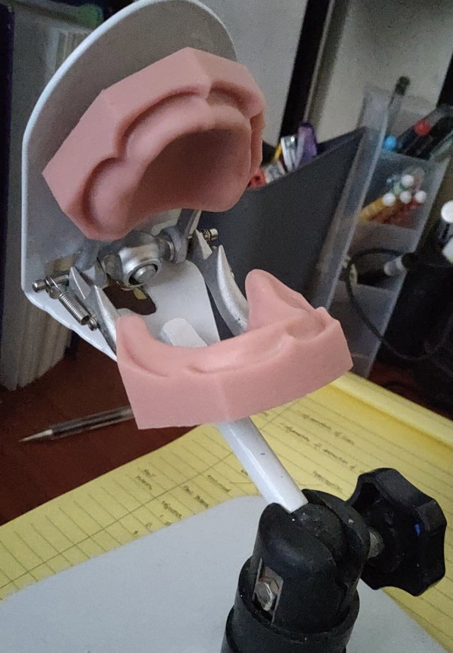 Dental edentulous model separate gum and bone 3D print model_1