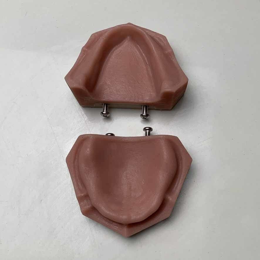 Dental edentulous model separate gum and bone 3D print model_3
