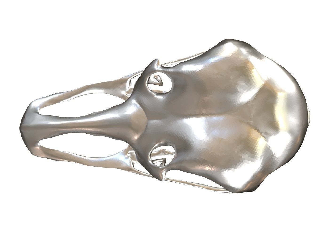 Cranium Charm Ostrich 3D print model_2