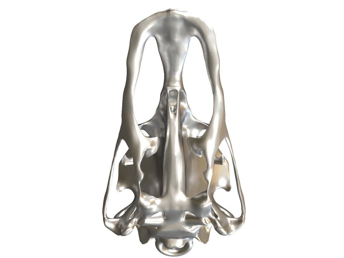 Cranium Charm Ostrich 3D print model_9