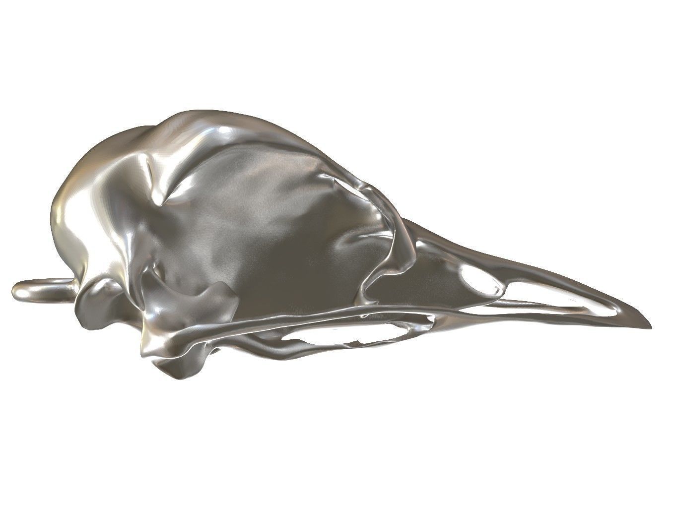 Cranium Charm Ostrich 3D print model_6