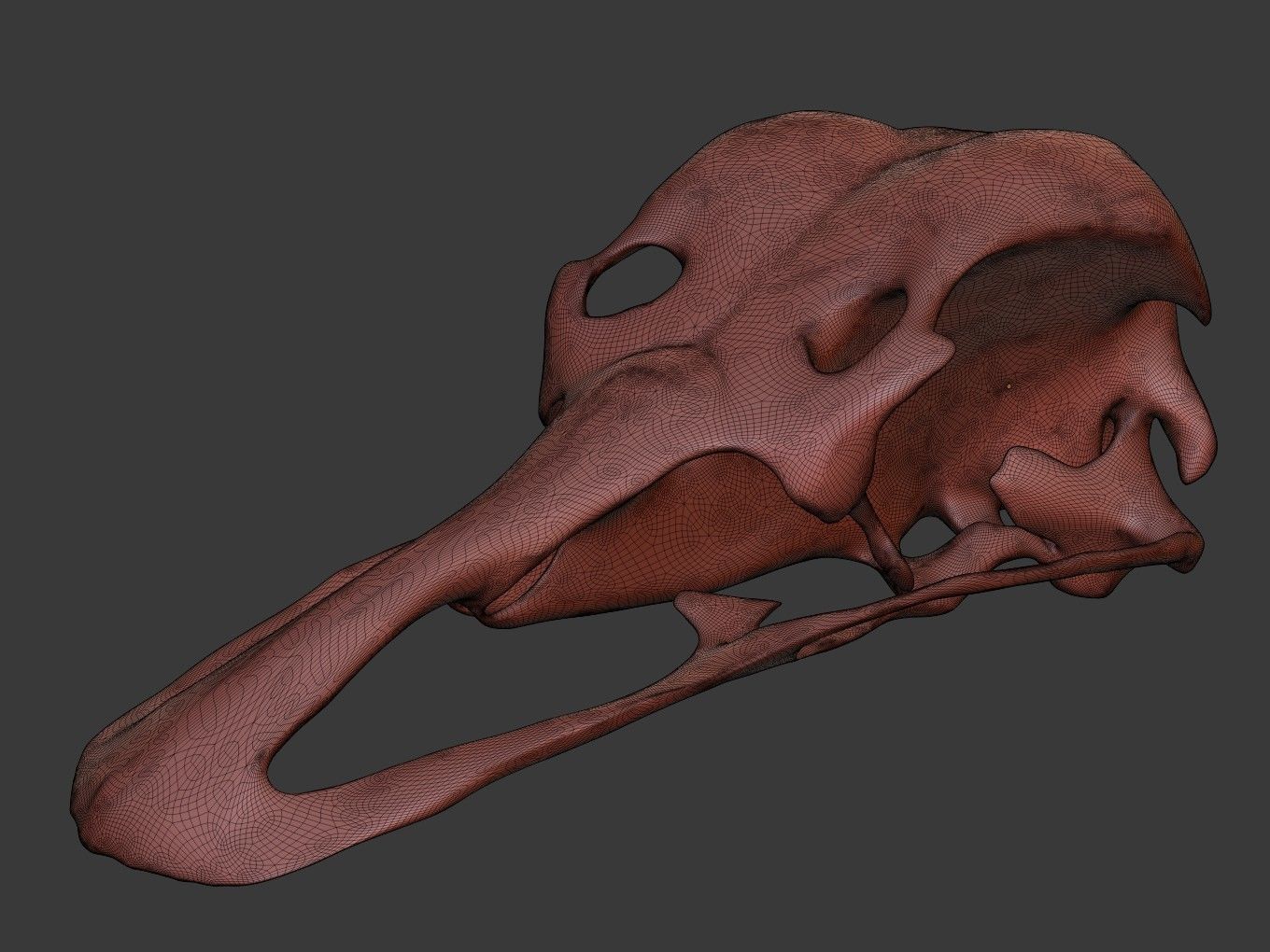 Cranium Charm Ostrich 3D print model_13